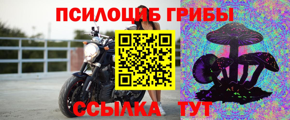 Псилоцибиновые грибы Cubensis  Вход с VPN  Зеленодольск  Галлюциногенные грибы Psilocybine cubensis 
